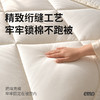 【巨软巨弹巨暖和！仿佛掉进云朵里】emo一默 雪绒云柔抗菌被 如雪蓬松 轻不压身 被窝恒温锁暖 A类母婴级材质 商品缩略图3