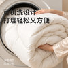 【巨软巨弹巨暖和！仿佛掉进云朵里】emo一默 雪绒云柔抗菌被 如雪蓬松 轻不压身 被窝恒温锁暖 A类母婴级材质 商品缩略图5