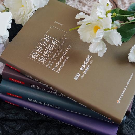 万千心理·精神分析督导 商品图3