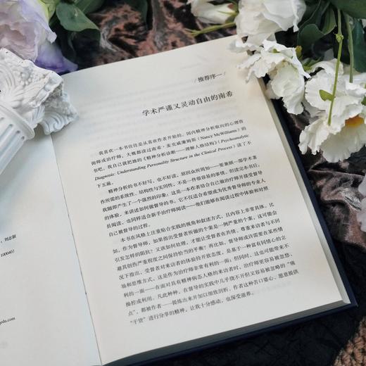 万千心理·精神分析督导 商品图6