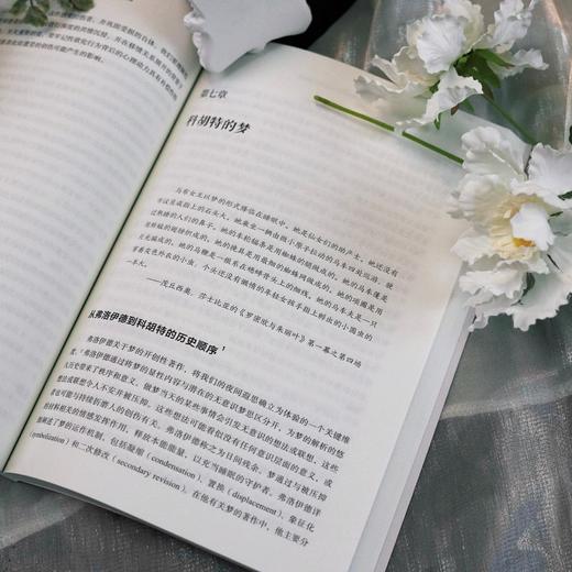 万千心理·自体新世界：海因茨·科胡特对精神分析与心理治疗的变革 商品图7