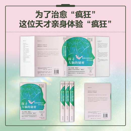探寻大脑的秘密：精神异常背后的科学真相 商品图4