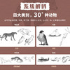 动物动态参考笔记 动物绘画动物速写教程 动物结构解剖兽设OC动作参考姿态设计 绘画素材图库 商品缩略图1