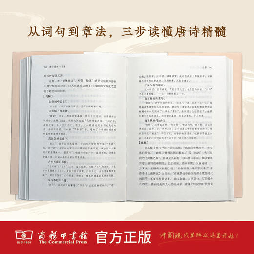 唐诗通解一百首(语文教师小丛书) 王俊鸣 著 商务印书馆 商品图1