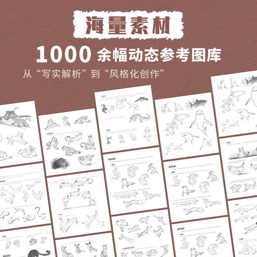 动物动态参考笔记 动物绘画动物速写教程 动物结构解剖兽设OC动作参考姿态设计 绘画素材图库 商品图2