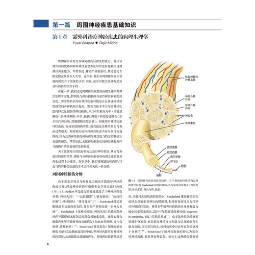 尤曼斯神经外科学周围神经外科与神经放射学 第7七版 王任直 本册为周围性神经疾病的外科诊治神经放射学基本原理等人民卫生出版社 商品图4