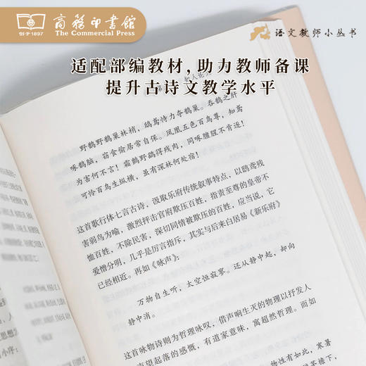 中国古典文学自学指南（语文教师小丛书）倪其心 著  商务印书馆 商品图3