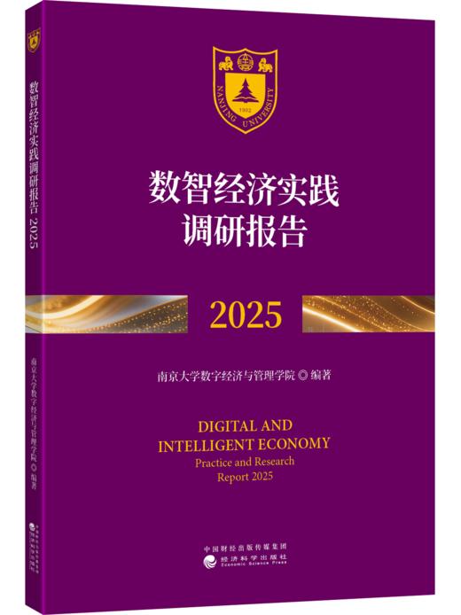数智经济实践调研报告2025 商品图0