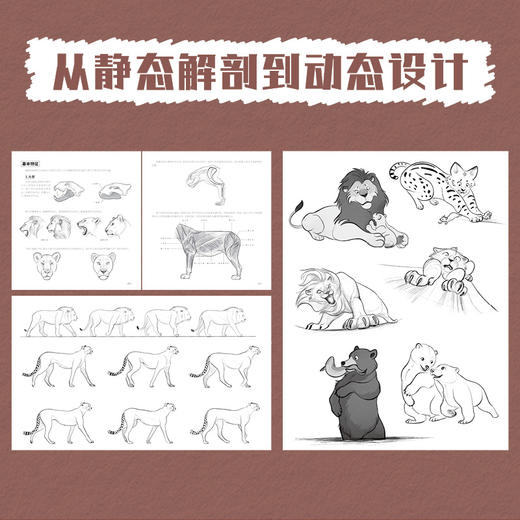 动物动态参考笔记 动物绘画动物速写教程 动物结构解剖兽设OC动作参考姿态设计 绘画素材图库 商品图3