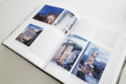 纽约建筑编年史！纽约2020：世纪之初的建筑与城市规划 NEW YORK 2020 商品图10