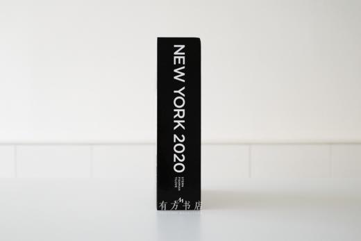 纽约建筑编年史！纽约2020：世纪之初的建筑与城市规划 NEW YORK 2020 商品图2