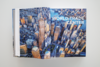 纽约建筑编年史！纽约2020：世纪之初的建筑与城市规划 NEW YORK 2020 商品缩略图4