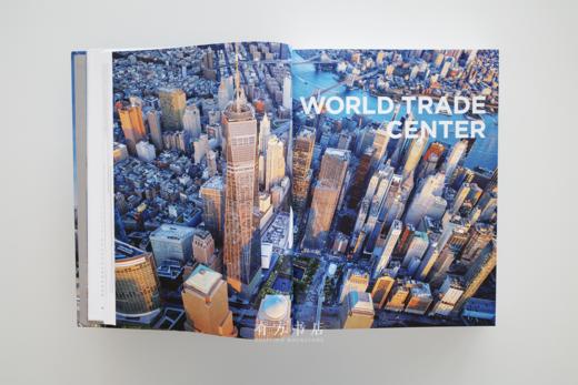 纽约建筑编年史！纽约2020：世纪之初的建筑与城市规划 NEW YORK 2020 商品图4
