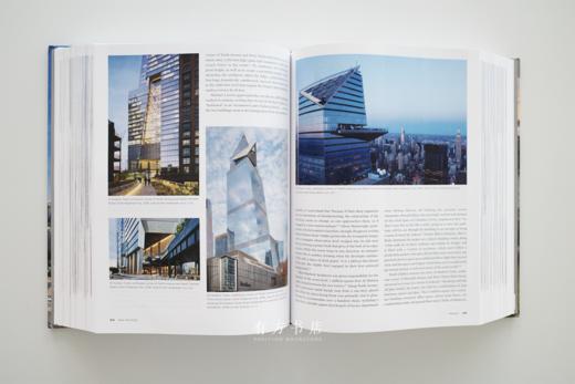 纽约建筑编年史！纽约2020：世纪之初的建筑与城市规划 NEW YORK 2020 商品图7