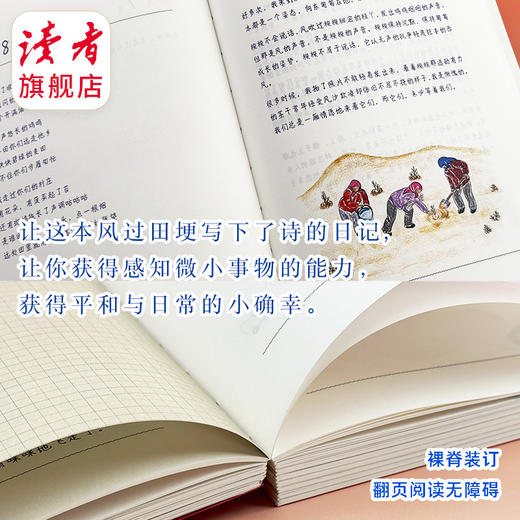 田鼠大婶的日记2:风过田埂，为我写下了诗 裴爱民 敦煌文艺出版社 记录西北甘肃民勤乡村四季流转 商品图6