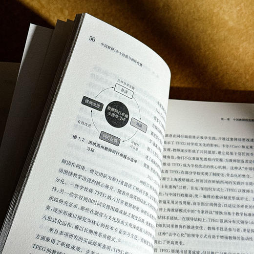 中国教研 本土经验与国际传播 郑鑫 商品图10