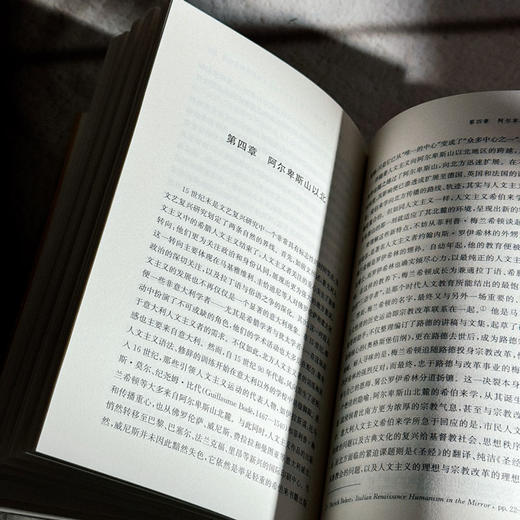 另一个文艺复兴 人文主义者与希伯来文化 卢镇 六点图书 商品图12