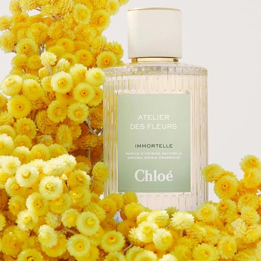 蔻依 仙境花园系列-不朽仲夏 Chloe Atelier des Fleurs Immortelle 分装 商品图1