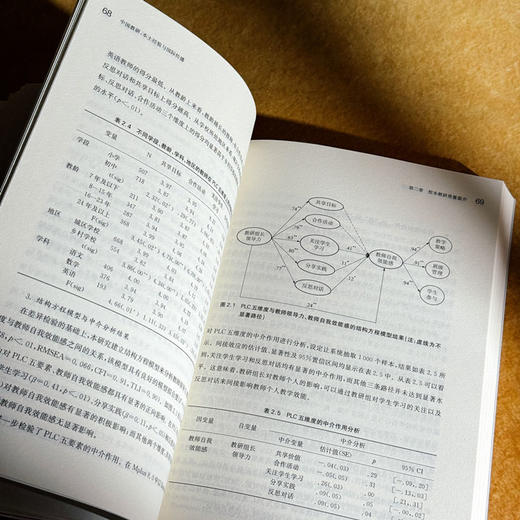 中国教研 本土经验与国际传播 郑鑫 商品图12