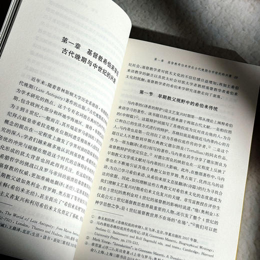 另一个文艺复兴 人文主义者与希伯来文化 卢镇 六点图书 商品图10