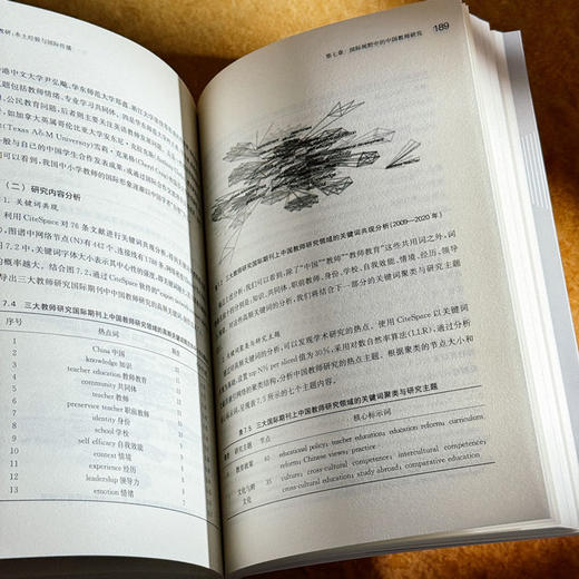 中国教研 本土经验与国际传播 郑鑫 商品图13