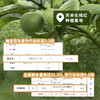 【秋冬必备 赠试饮装 】国家地理标志 ｜广东电视台采访推荐果园：天单正宗头果化橘红，核心产区老树头果，CMA检测无农残、无重金属，中大教授团队认证高品质，自饮、收藏、送礼皆宜 商品缩略图1