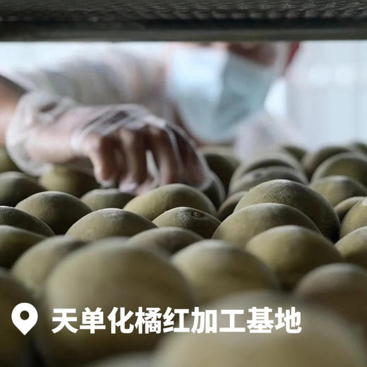 【秋冬必备 赠试饮装 】国家地理标志 ｜广东电视台采访推荐果园：天单正宗头果化橘红，核心产区老树头果，CMA检测无农残、无重金属，中大教授团队认证高品质，自饮、收藏、送礼皆宜 商品图2