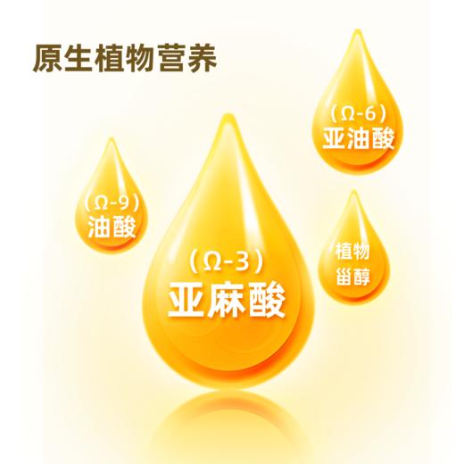 海天味业保证 压榨大豆油5L&美味券 物理压榨非转基因福利采购1.28L小规格 商品图2