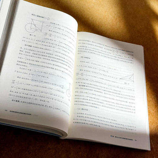 初中数学数字化实验的理论与实践 吴冠男 数学教学 商品图12