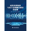 城市洪涝地表与地下空间耦合模型及应用 商品缩略图0