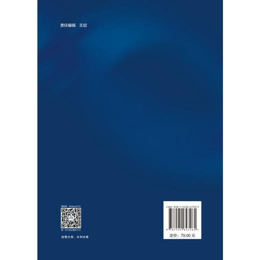城市洪涝地表与地下空间耦合模型及应用 商品图2