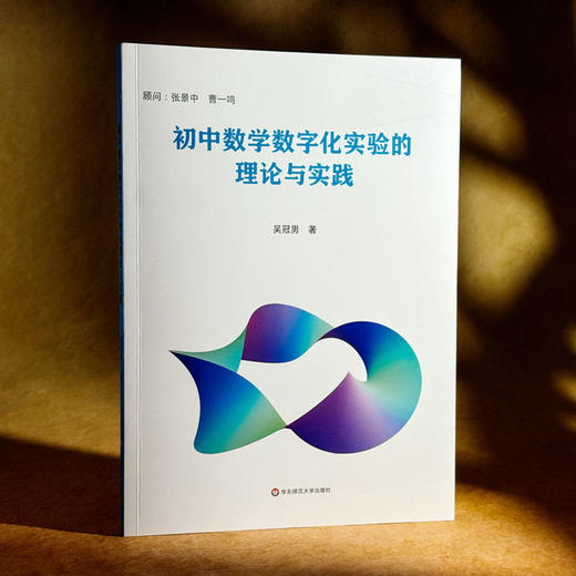 初中数学数字化实验的理论与实践 吴冠男 数学教学 商品图3