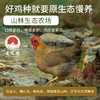 【免洗免切】天农食品 林涧散养清远鸡切块 450g*3盒 皮薄爽脆鸡肉细腻 商品缩略图5