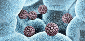  坐高铁会感染HPV？先弄懂HPV的3条传播途径