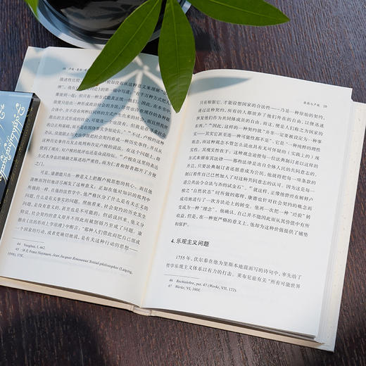 卢梭·康德·歌德(中西书院文库)  [德]恩斯特·卡西尔 著 商品图2