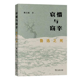 哀惜与窃幸：鲁迅之死 陈占彪 著