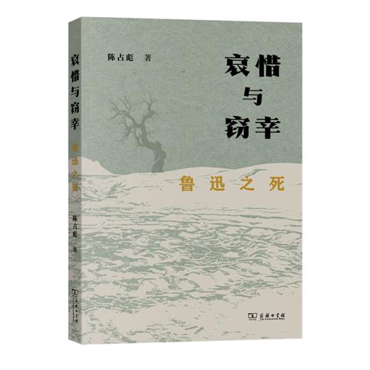 哀惜与窃幸：鲁迅之死 陈占彪 著 商品图1