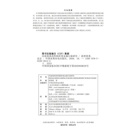 河道基质改性阻控重金属污染研究 商品图2