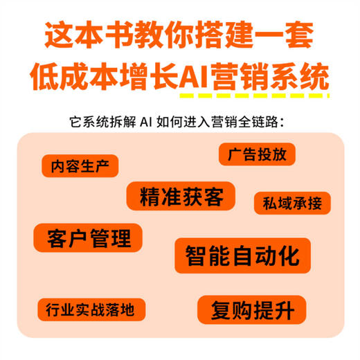 AI营销：引爆低成本增长的实战手册 商品图2