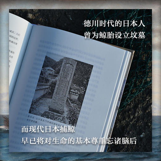 吞鲸者：近代日本如何捕掠海洋 商品图7