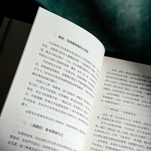 卓越班主任实战心法 大夏书系 名校教育探索 新手班主任 商品图9