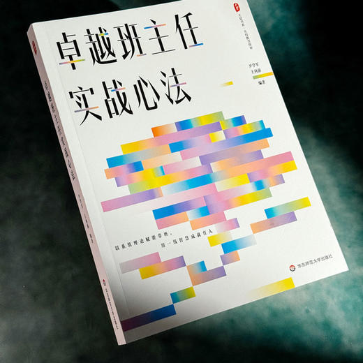 卓越班主任实战心法 大夏书系 名校教育探索 新手班主任 商品图4