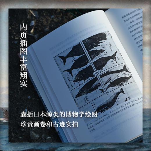 吞鲸者：近代日本如何捕掠海洋 商品图4
