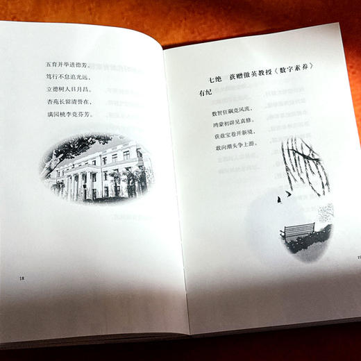 暖风挥墨画春符 斯阳诗集 商品图9