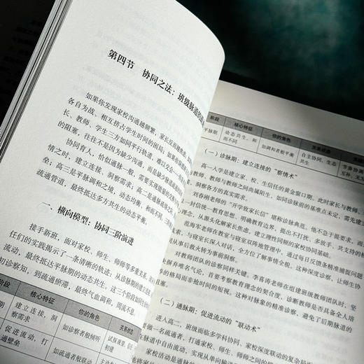 卓越班主任实战心法 大夏书系 名校教育探索 新手班主任 商品图12