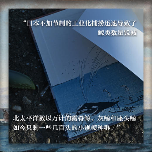 吞鲸者：近代日本如何捕掠海洋 商品图9