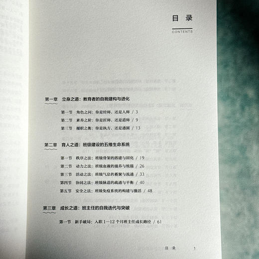 卓越班主任实战心法 大夏书系 名校教育探索 新手班主任 商品图6