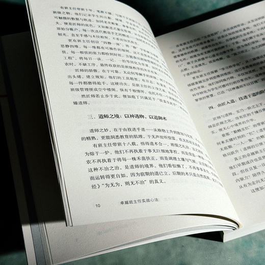 卓越班主任实战心法 大夏书系 名校教育探索 新手班主任 商品图11