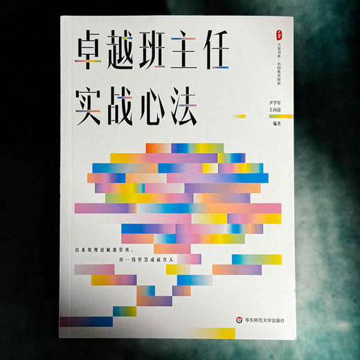 卓越班主任实战心法 大夏书系 名校教育探索 新手班主任 商品图1