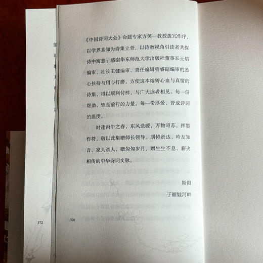 暖风挥墨画春符 斯阳诗集 商品图14